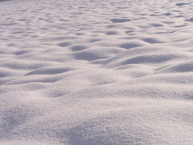 bílý sníh