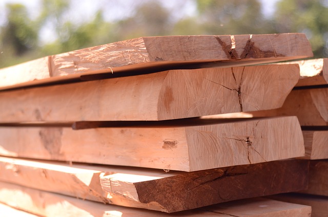 dřevo jako surovina na výrobu nábytku.jpg