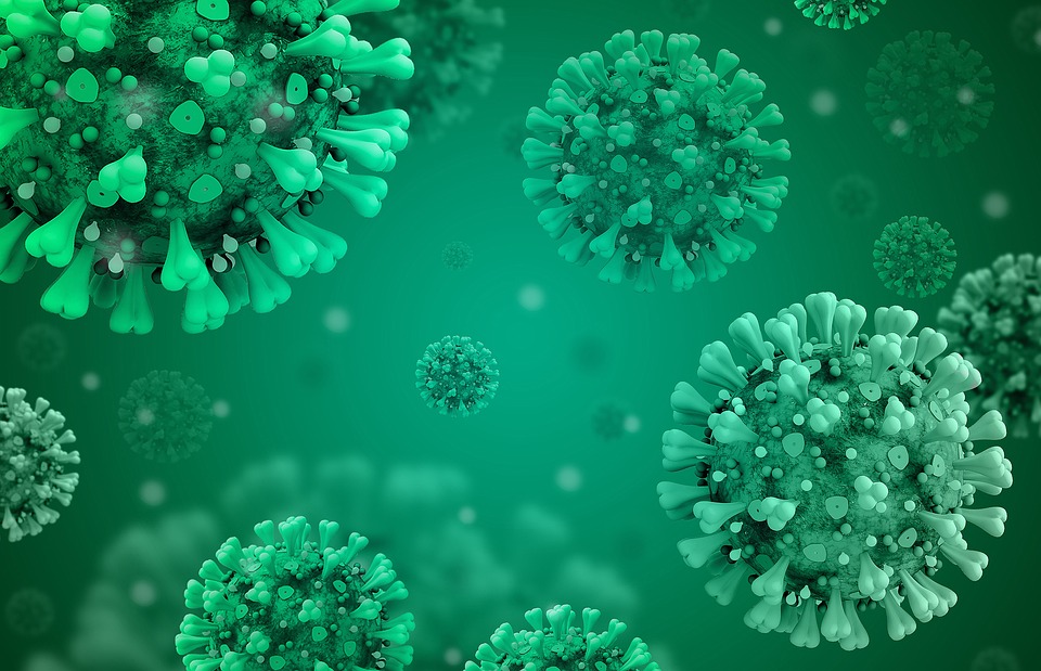 obrázek koronavirů